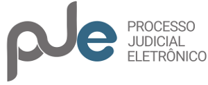Processo Judicial Eletrônico
